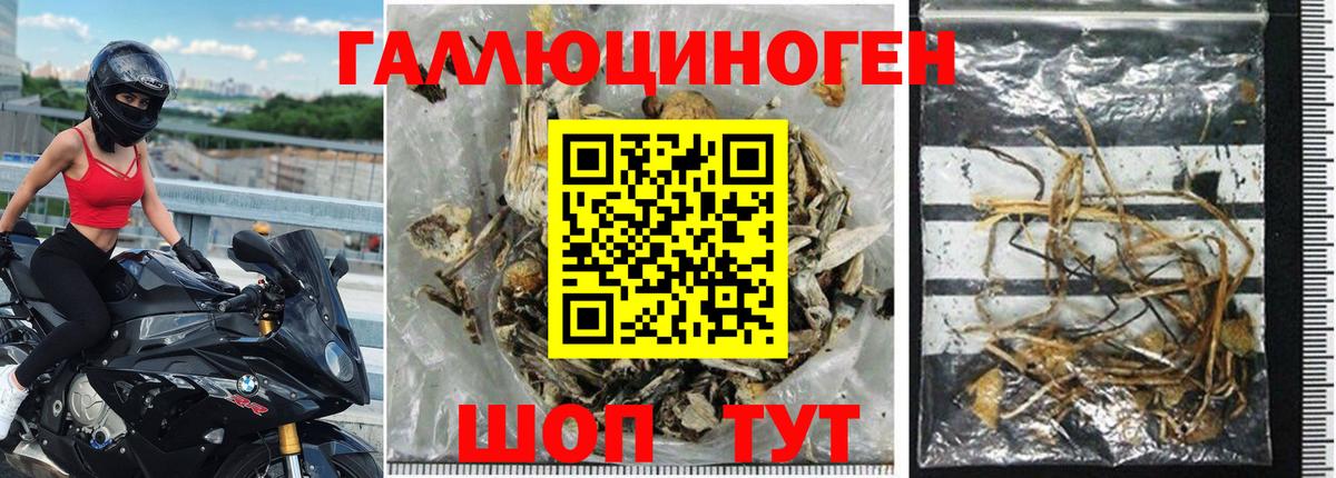Тулун  Псилоцибиновые грибы мицелий  Псилоцибиновые грибы Magic Shrooms  Вход с VPN 